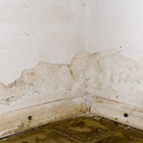 Water Damage in Basement.