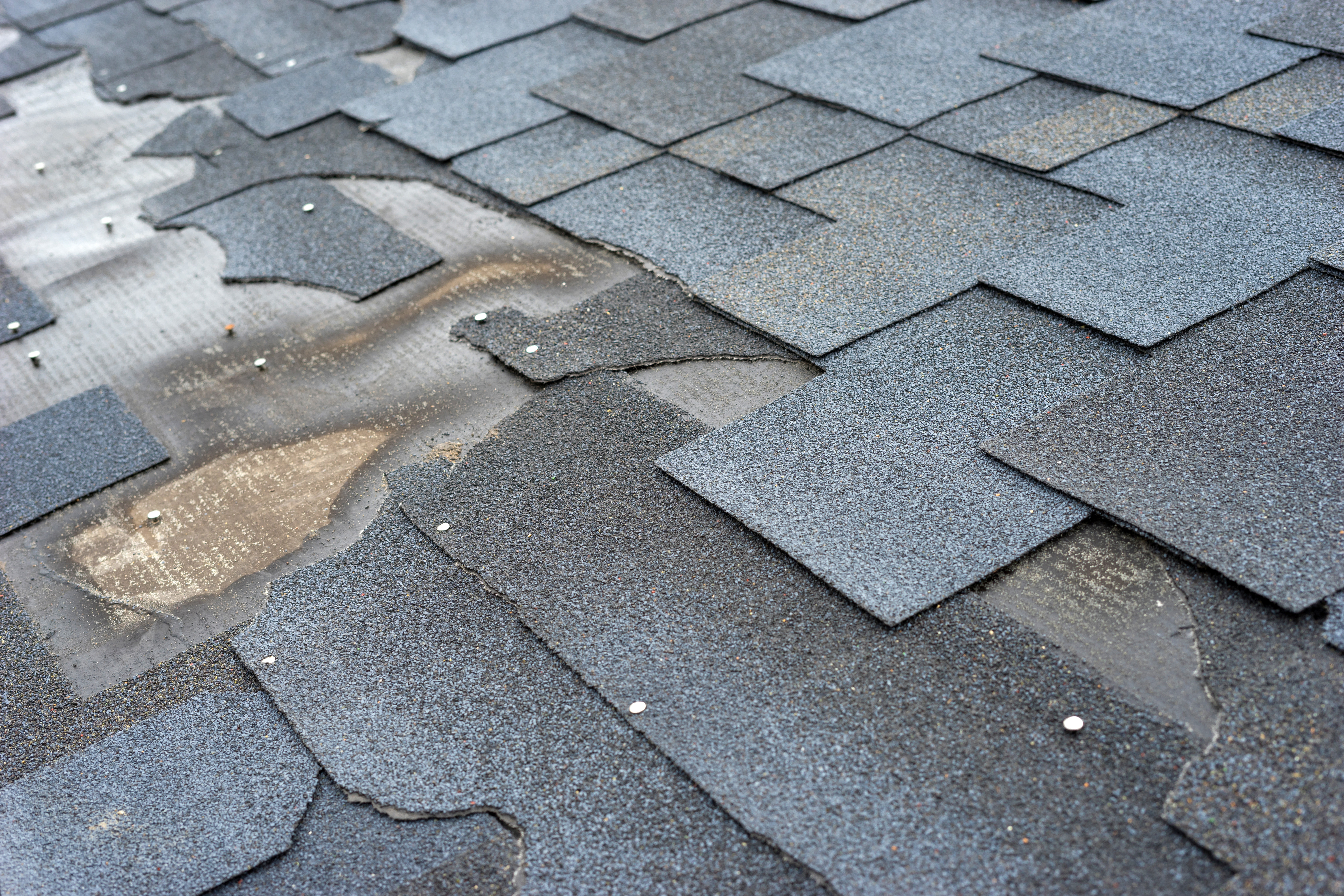 Asphalt shingles roof damage that needs repair.