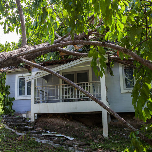 fallen tree after hard storm on damaged house